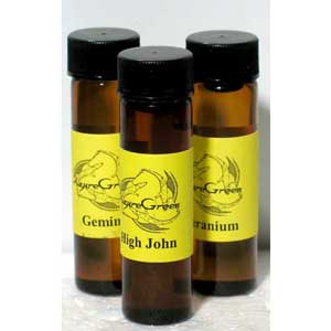 2dr Juniper